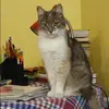 Отзыв от Тамара Косарева
